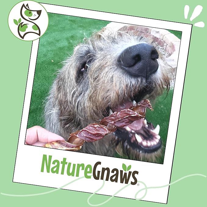Nature Gnaws Beef Gullet Springs for Dogs 7-8" (6 Count) - Natural Beef Jerky Stick Dog Chew Treats - Rawhide Free
