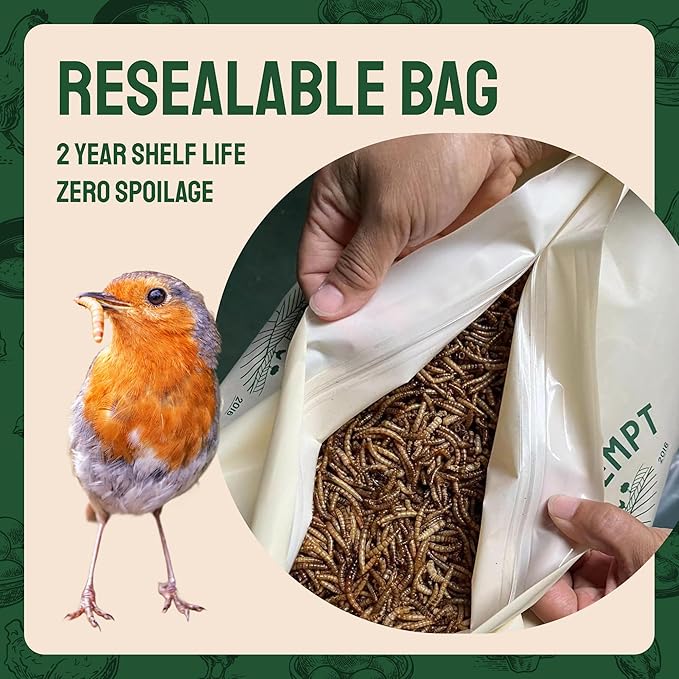 Hatortempt Dried Mealworms for Wild Birds - 1.8 Lb Bag - Non-GMO Meal Worms for Wild Birds - Attracts Bluebirds, Starlings, Wrens, Woodpeckers, Cardinals and Robins