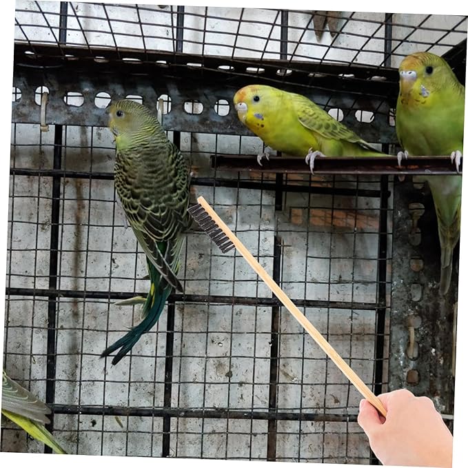 BESPORTBLE 2pcs Parrot Cage Cleaning Brush Set for Parrot Small Animal Cages Includes Droppings Shovel and Garden Cleaning Tool