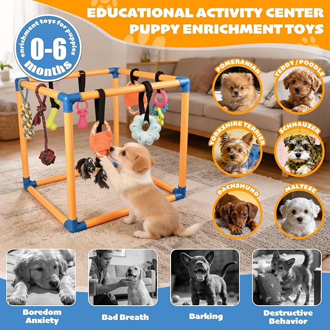 Puppy Play Gym with 10 Hanging Toys, 19.5" PVC Removable Dog Enrichment Playground, Interactive Indoor Training Activity Center for Small Dogs & Puppies with Rubber/Teething/Rope/Squeaky Toys