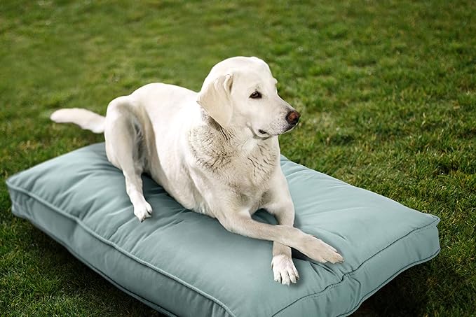 Sunbrella Double Sided Dog Bed for Indoor/Outdoor,Washable Cover & Chew Proof, Pets Mat for Multipurpose, Easy Care & Pet Safe Products for Dogs & Cats (Large, Polyester, Mist,40”x30”x4”)