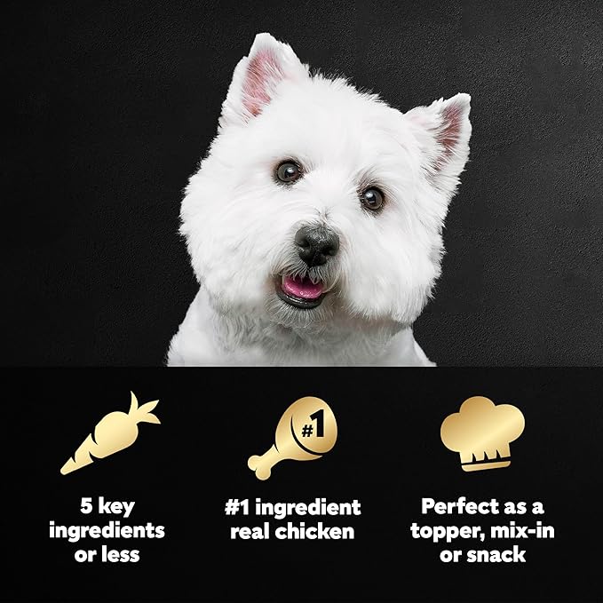 Cesar Simply Crafted Adult Wet Dog Food Toppers for Dry Food, Chicken, 1.3 oz Tubs, 24 Count