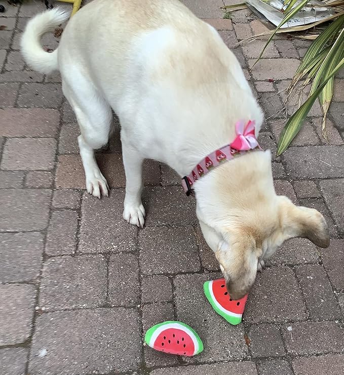 1Pc Watermelon Pet Toy Chew Squeaker Squeaky Plush Cotton Triangle Ball Watermelon Sound Toys Puppies Small Dogs Useful and Deft, Dog Squeak Toys, Tiny Puppy Toys(Red)