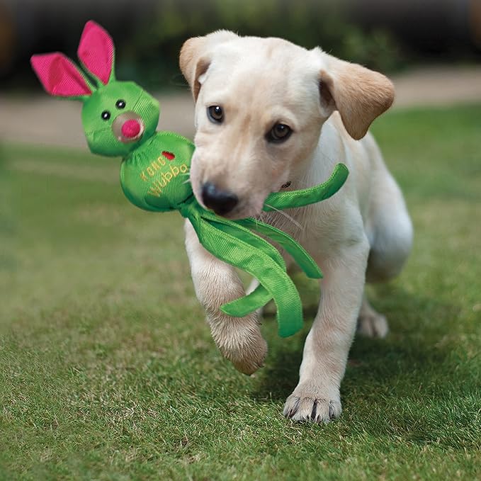 KONG Wubba Friends Ballistic Dog Toy - Durable Interactive Squeaky Toy, Assorted Colors/Animals, Fetch & Tug-of-War (Small)
