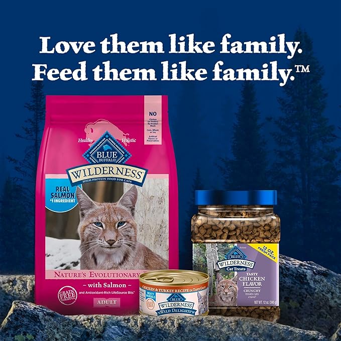 Blue Buffalo Wilderness Natural Adult Dry Cat Food, High-Protein and Grain-Free Diet, Supports Healthy Muscle Development and a Healthy Immune System, Salmon, 5-lb Bag