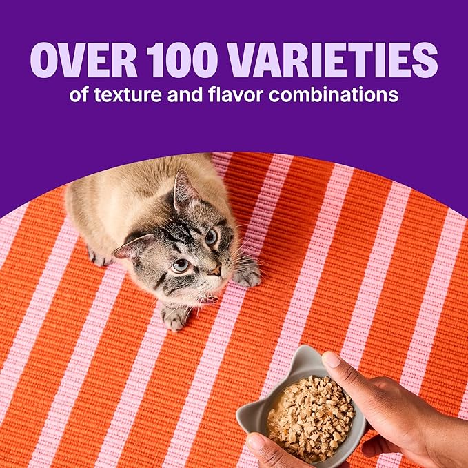 Wellness CORE Signature Selects Shredded Kitten Canned Wet Cat Food, Natural, Protein Rich, Grain Free, Chicken Entrée Recipe, 5.3 oz, Pack of 12 Cans