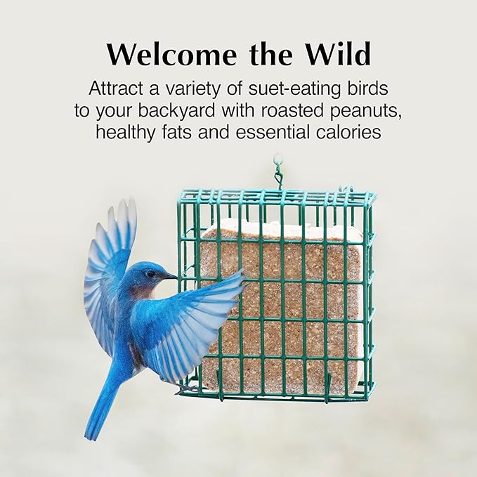 C&S Woodpecker Delight No Melt Suet Dough, Suet Cakes for Wild Birds Including Woodpeckers, Flickers and More, 11.75 Ounces, Pack of 8