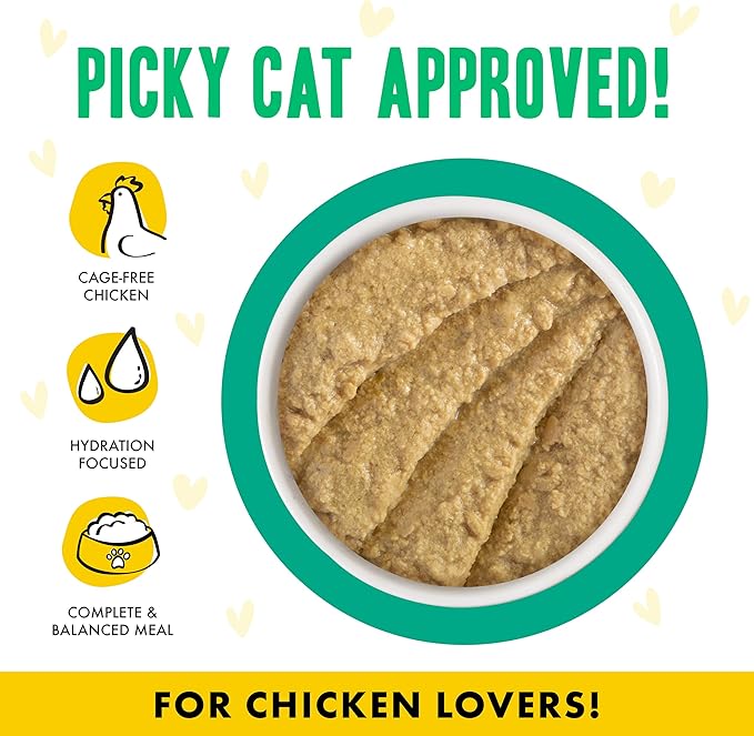 B.F.F. PLAY - Best Feline Friend Paté Lovers, Aw Yeah!, Chicken & Turkey Tiptoe with Chicken & Turkey, 3oz Pouch (Pack of 12)