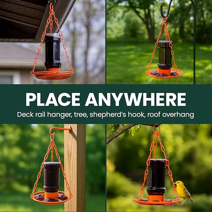 Perky-Pet Wild Oriole Jelly Bird Feeder - 32oz Capacity, Built-in Stirrer with Large Circular Feeding Tray, Wraparound Perch, Outdoor Garden Décor for Backyard Birding & Wildlife, 253