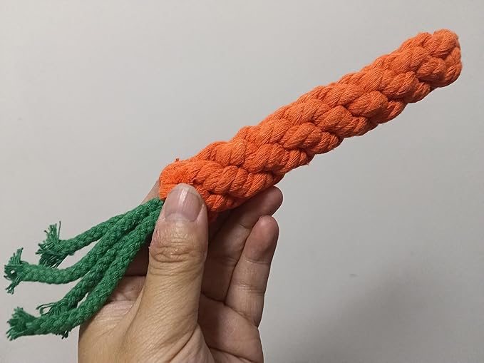 Handmade Braided Carrot Shape Chew Toy, Orange with Green Leaves, Durable Pet Dental Toy (2-Piece Set)