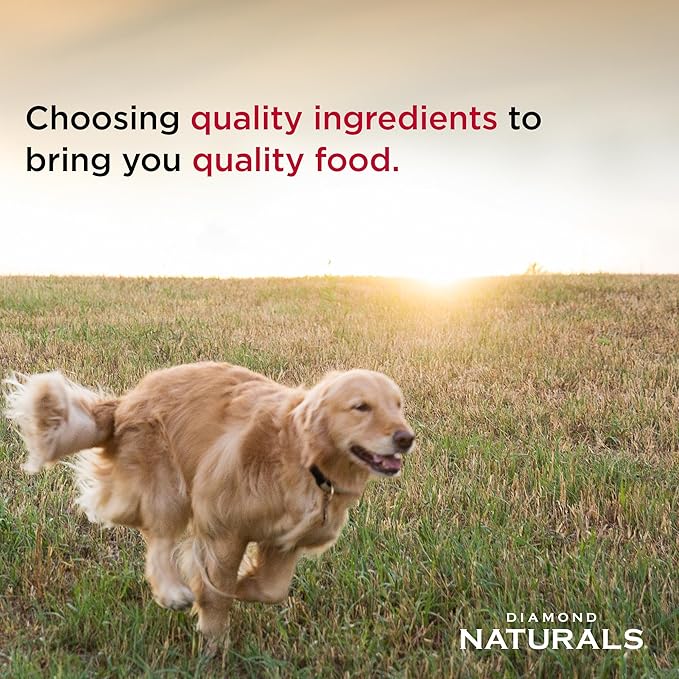 Diamond Naturals Small Breed Dog Real Chicken amnd Rice Recipe Premium Dry Dog Food 18 lbs