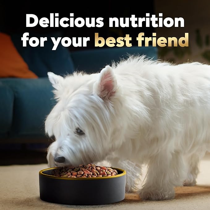 Cesar Small Breed Dry Dog Food for Small Dogs Rotisserie Chicken Flavor and Spring Vegetables Garnish, 2.7 lb Bag