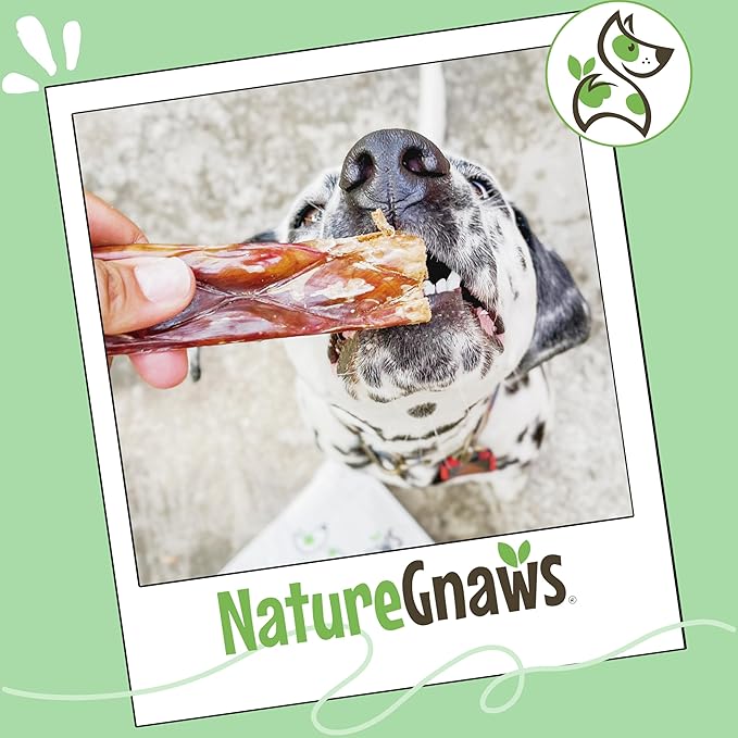 Nature Gnaws Beef Gullet Chews for Large Dogs 9-10" (50 Count) - Natural Beef Jerky Stick Dog Chew Treats - Rawhide Free