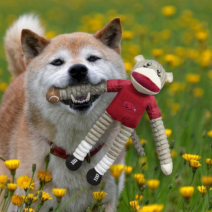 Littlearth NCAA Unisex NCAA Sock Monkey and Flying Disc Pet Toy Combo Set