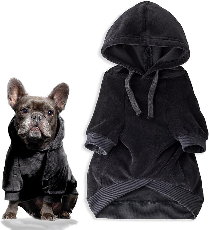 Pet Passion Cooper II Organic Cotton Velour Dog Hoodie Pet Coat for Small, Medium and Large Dogs, Black, X-Large (55-80 lbs)