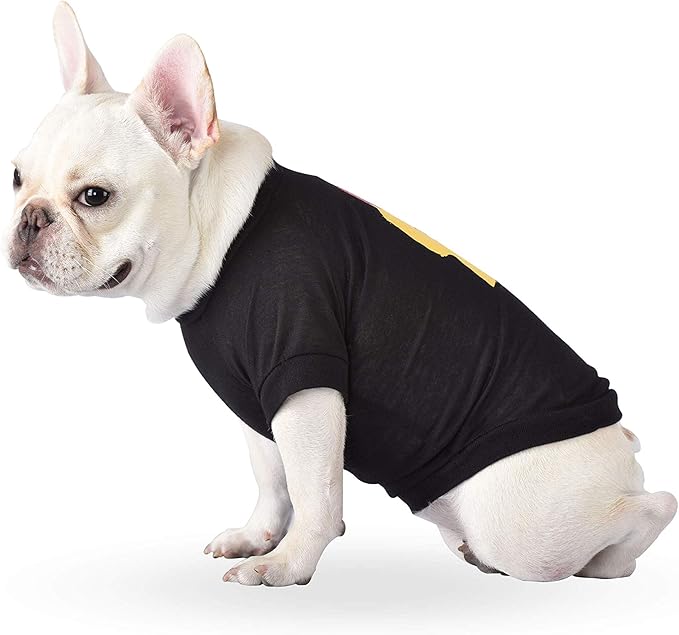 WARNER BROS The IT Movie You'll Flat Too Tee for Dogs, Medium | IT The Movie Dog T-Shirt | Soft, Cute, and Comfortable Dog Clothing and Apparel, Black