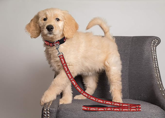 Pets First NHL Florida Panthers Leash for Dogs & Cats, Walk Cute & Stylish! The Ultimate Hockey Fan Leash!, Large (6 ft Long x 1 in Width) (PAN-3031-LG)