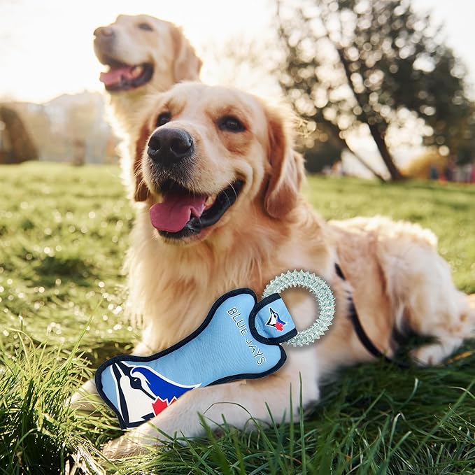 MLB Toronto Blue Jays Bone Shaped Dental Dog TUG Toy with Squeaker. Tough PET Toy for Healthy Fun, Teething, and Cleaning pet's Teeth and Gum.