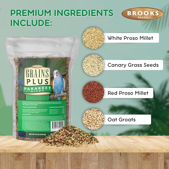 Brooks Brand Grains Plus Parakeet Blend, Bird Food Parakeet Bird Seed, Seed Mix, Millet for Budgie Seed (4.5 lbs Bag)
