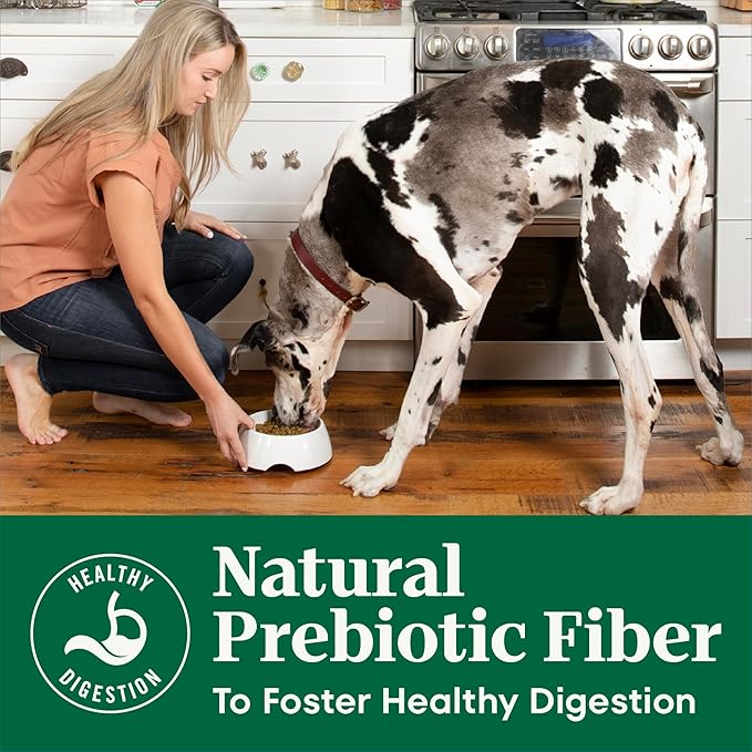 Nutro Natural Choice Large Breed Dry Dog Food, Adult Dog Food Chicken and Brown Rice Recipe, 36 lbs.