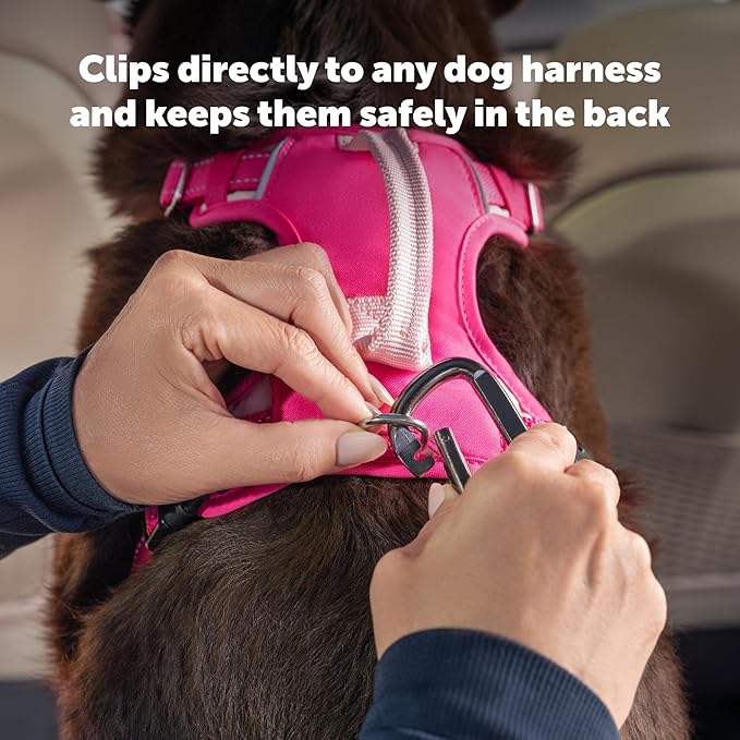 PetSafe Safety Seatbelt Tether Adjustable Dog Seat Belt for Car Works with Any Harness Carabiner Clip, Black - 1 Tether Included