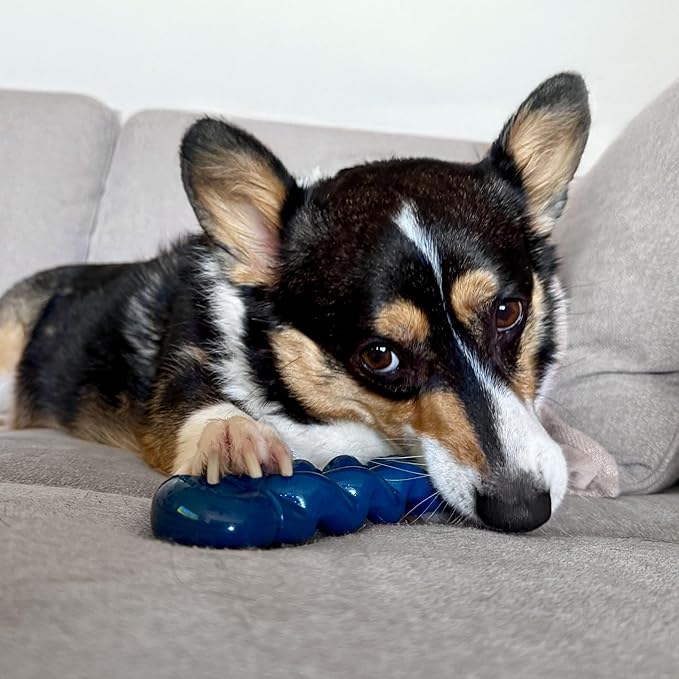 Nylabone Love Our Oceans Infinity Braid Bone Power Chew Toy for Dogs, Recycled & Sustainable Dog Chew Bones, Made in USA, Bully Stick Flavor, Medium Dog Toys - Up to 35 lbs, 1 Count