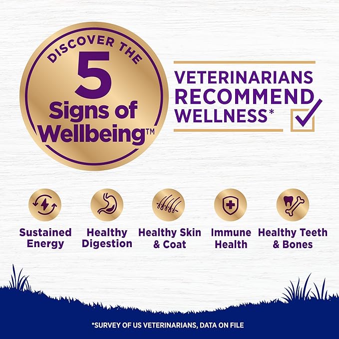 Wellness Complete Health Large Breed Adult Dry Dog Food, Wholesome Grain Kibble, Natural, Chicken and Brown Rice Recipe, 38 lb Bag