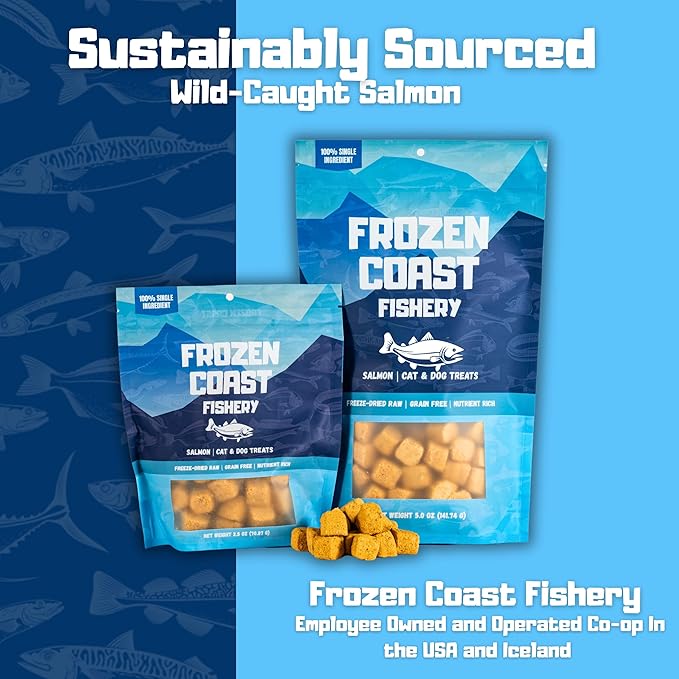 Frozen Coast Freeze-Dried Wild-Caught Salmon Cat & Dog Treats-Single-Ingredient, Omega-3, Grain-Free (2.5 oz-Bag)