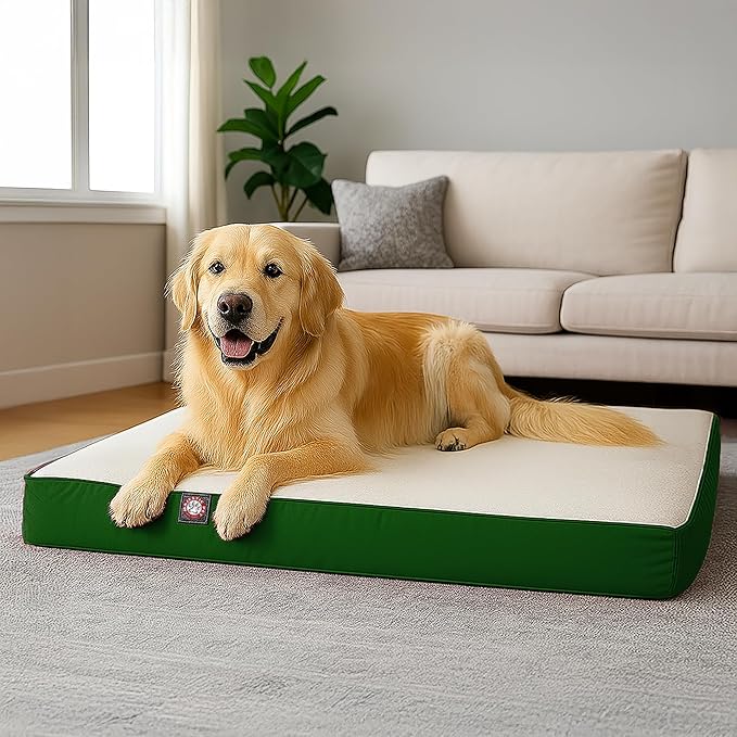 Majestic Pet 48x34x3 Inch Green Orthopedic Memory Foam Rectangle Dog Bed – Large Size Crate Dog Bed for Dogs with Joint Pain, Arthritis – Durable Pet Mattress with Egg Crate Foam, Washable Cover