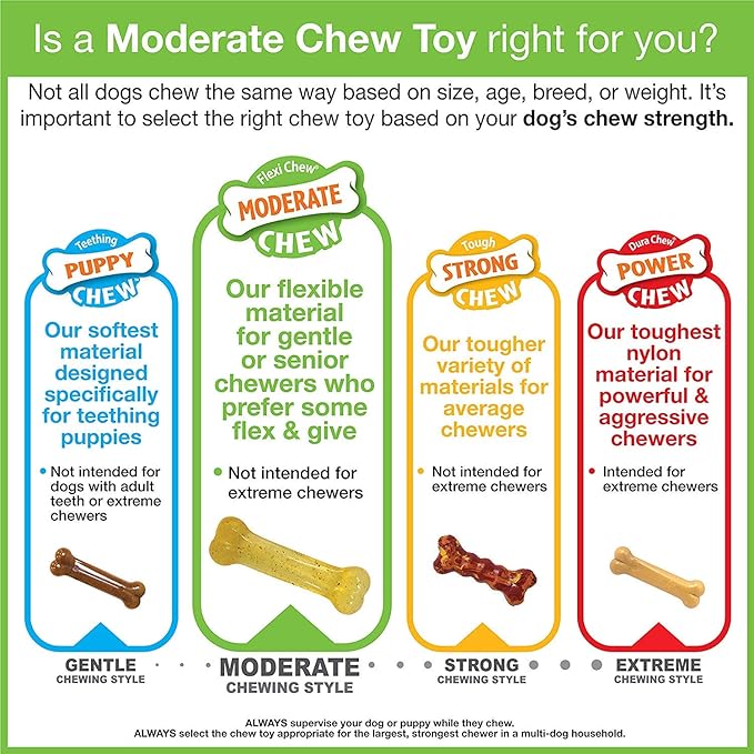 Nylabone Flexi Chew 2 Peanut Butter, 1 Bacon Petite 3pk