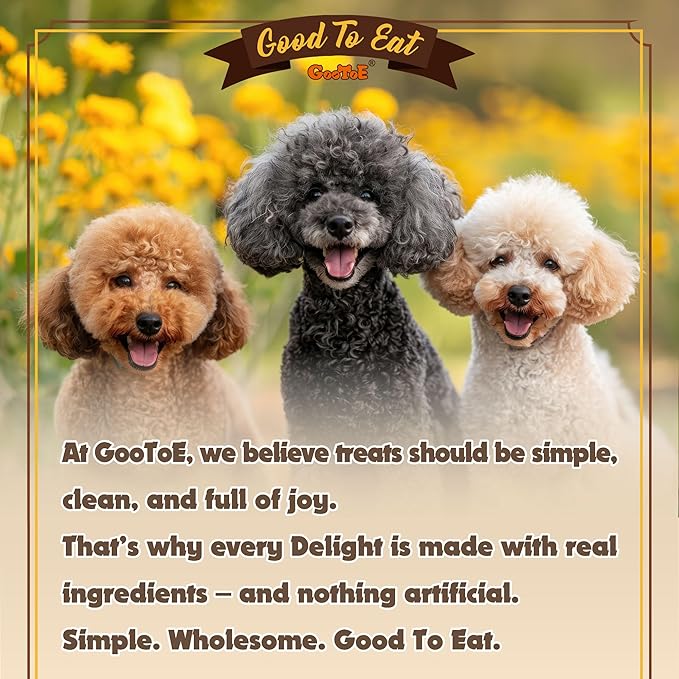 Gootoe Turkey Tendons for Dogs –All-Natural, Hypoallergenic Dog Treats, Rawhide Alternative, Long Lasting Puppy Chews, Healthy Dog Treats for Medium Breeds, Rope (M), 1 lb