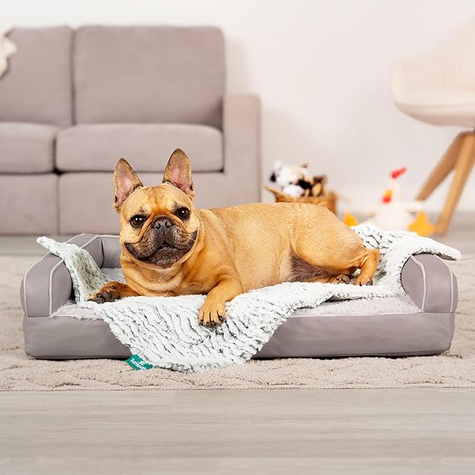 FurHaven Waterproof Dog Blanket – Birch Faux Fur & Suede Calming Throw for Pets, Washable – Gray, Medium