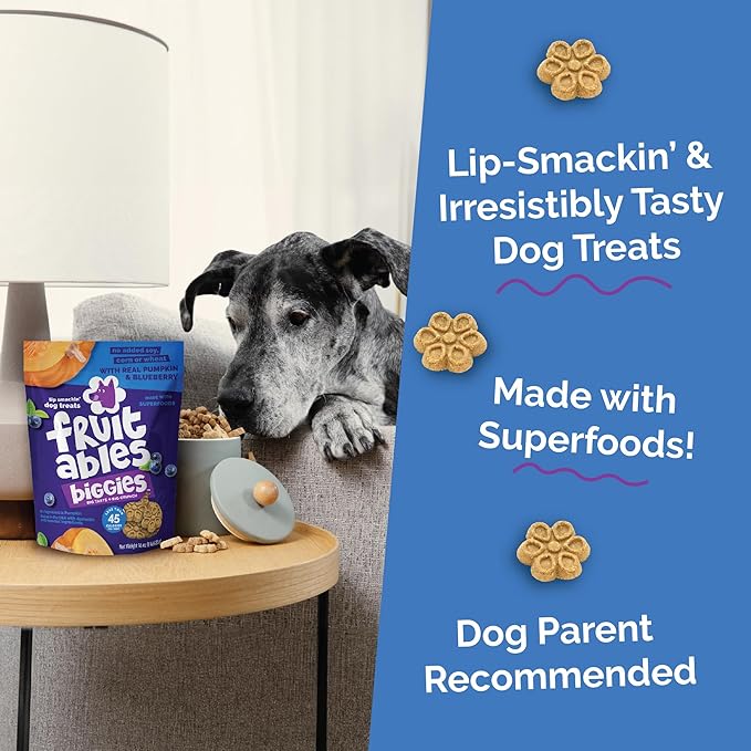 Fruitables Biggies Dog Biscuits, Healthy Treats for Dogs, Doggie Biscuits, Crunchy Pumpkin Treats, Made Without Wheat, Corn and Soy, Made in the USA, Pumpkin and Blueberry Flavor, 16oz