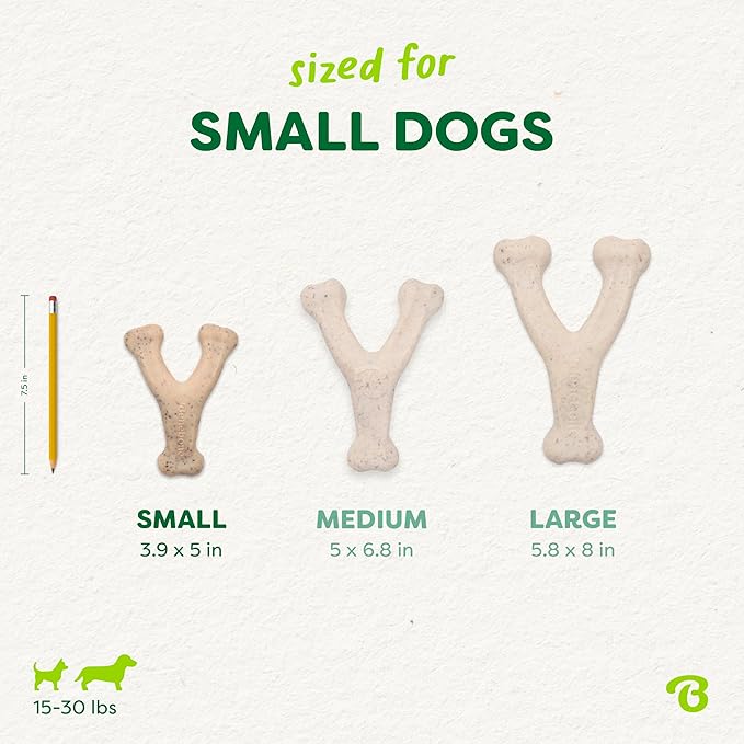 Benebone Green Plant-Based Real Bacon Wishbone Dog Chew Toy for Small Dogs, Dog Bones for Moderate Chewers, Made in USA
