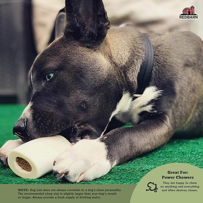 Redbarn Pet Products Small Filled Dog Bones, Peanut Butter Flavor - Long Lasting Stuffed Femur Chew Treat Made in USA for Aggressive Chewers - Case of 20 Bones