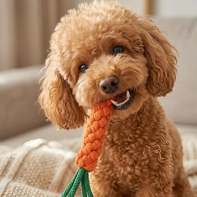 Cotton Rope Dog or Cat Toy, Handmade Braided Carrot Shape Chew Toy, Orange with Green Leaves, Durable Pet Dental Toy (3-Piece Set)