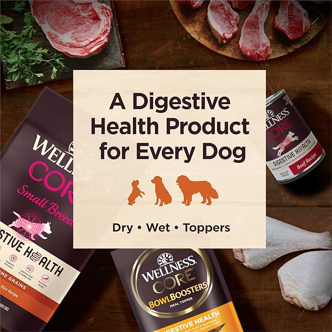 Wellness CORE Digestive Health Adult Dry Dog Food, Wholesome Grain Kibble, Sensitive Stomach, Natural, High Protein, Chicken Free, Whitefish and Brown Rice Recipe, 4 lb Bag