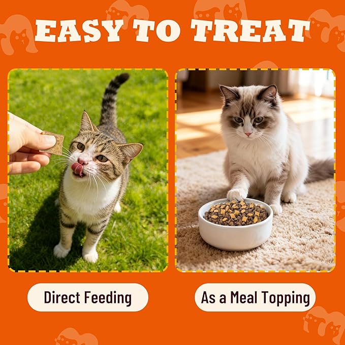 13.05oz Catnip Treats for Cats with Taurine for Cats and Vitamins, Crunchy and Soft Cat Treats for Digestive Health & Mood Support - Chicken Flavor, Healthy Cat Treats for Kittens