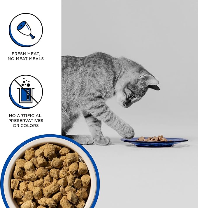 BIXBI Rawbble Freeze Dried Cat Food, Turkey Recipe, 3.5 oz - 94% Meat and Organs, No Fillers - Pantry-Friendly Raw Cat Food for Meal, Treat or Food Topper - USA Made in Small Batches