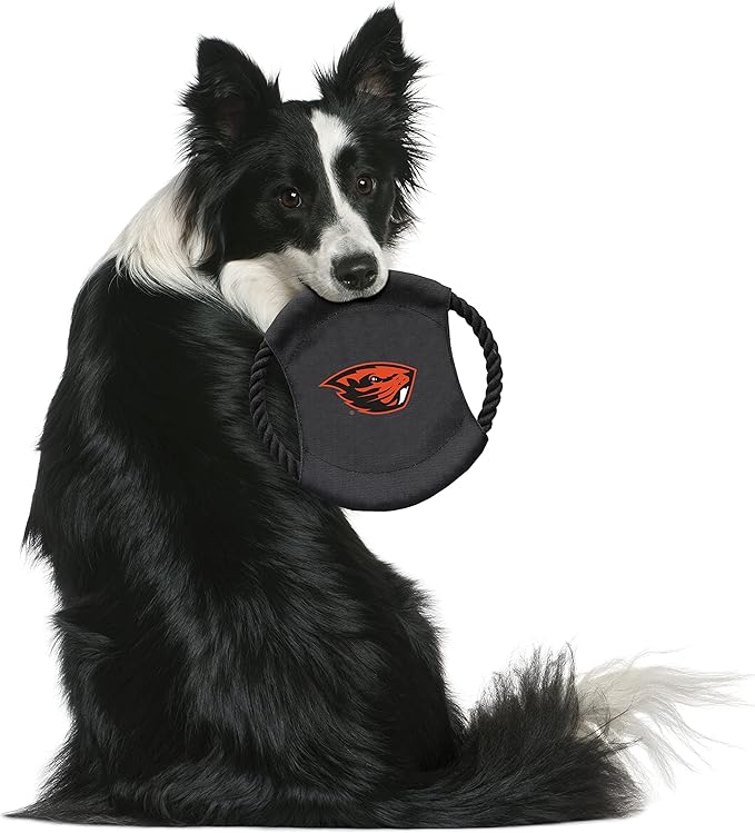 Littlearth NCAA Unisex NCAA Sock Monkey and Flying Disc Pet Toy Combo Set