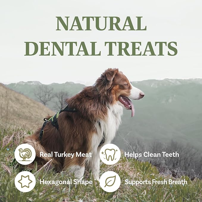 A Freschi srl All Natural Dog Chews, USA-Sourced Trukey, Hypoallergenic, Dog Treats for Puppies and Adult Dogs, Grain-Free, Signature Series, Turkey Dental Sticks 2.2 lb