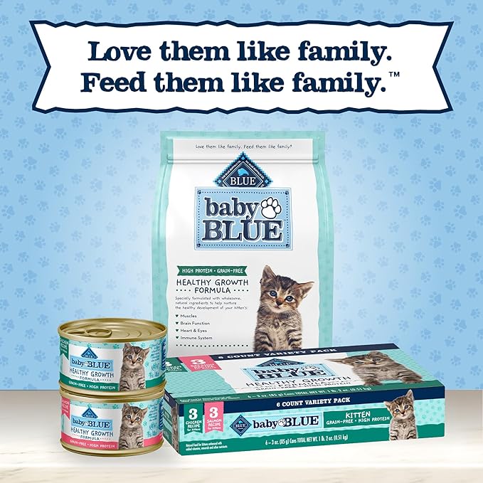 Blue Buffalo Baby Blue Natural Kitten Wet Cat Food Paté Variety Pack, Healthy Growth Formula with DHA, High-Protein & Grain-Free, Chicken and Salmon Recipes, 3-oz Cans (6 Count, 3 of Each) (Pack of 4)