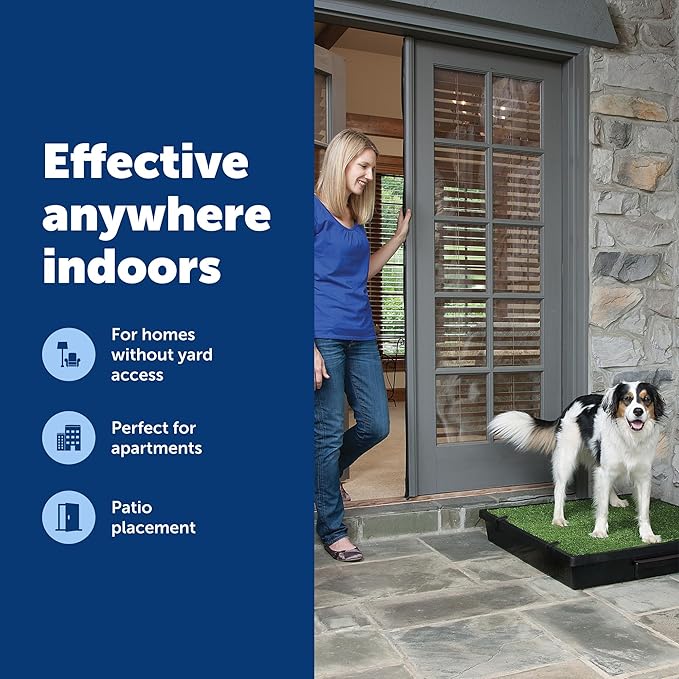 PetSafe Pet Loo Portable Dog Potty,Toilet Alternative for Puppy Pads, Perfect for House Training, Easy-to-Clean Grass Mat, Large
