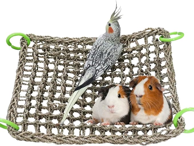 Birds Natural Seagrass Mat Hanging Woven Net Hammock Mat with Hooks Bird Cage Accessories Climbing Rope Ladder Chew Toys for Cockatiel Hamster Guinea Pig Rats Hamster Parakeet (16''x12'')