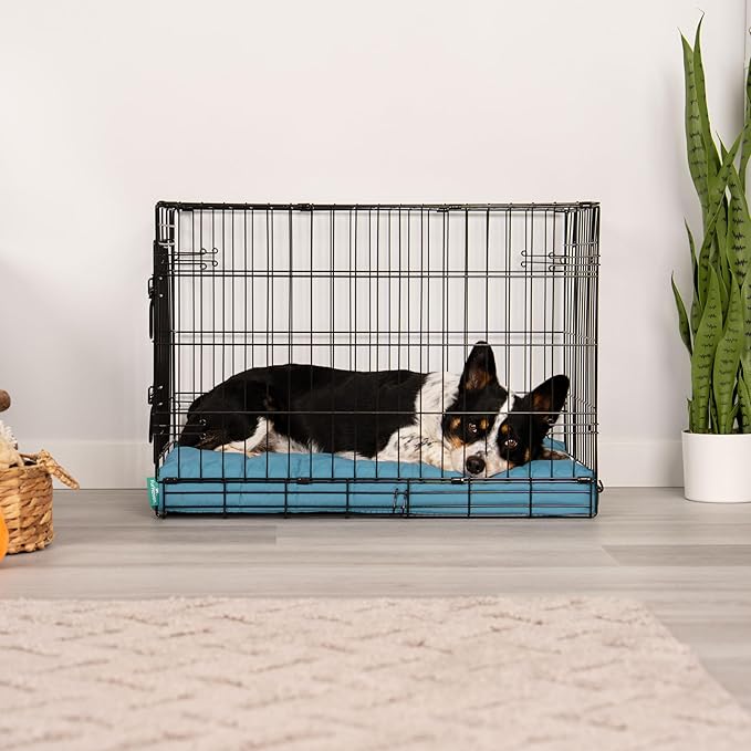 Furhaven Orthopedic Dog Bed – Puffy Quilted Foam Mattress with Removable Washable Cover, Soft & Supportive for Kennels & Crates - Medium, Lagoon