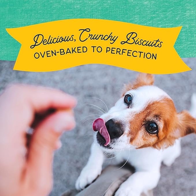 Natural Balance Limited Ingredient Rewards Crunchy Biscuits, Bite-Size Treats for Small-Breed Dogs, Made with Real Chicken, 8 Ounce, (Pack of 2)