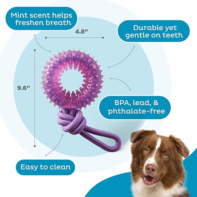 Dental Chew Wheel Dog Toy – Ring & Rope Tug, Multi-Textured, Soft on Teeth, Moderate Chewers, Mint Scented, 9"