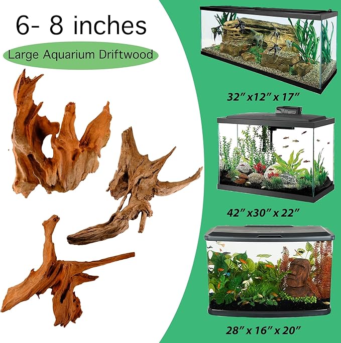 Azil Natural Driftwood 6'' - 8''(3pcs) Perfect Aquarium Decoration! Ideal for Fish Tanks, Freshwater Aquariums, terrariums, aquascaping, hardscaping,Aquatic Plants.