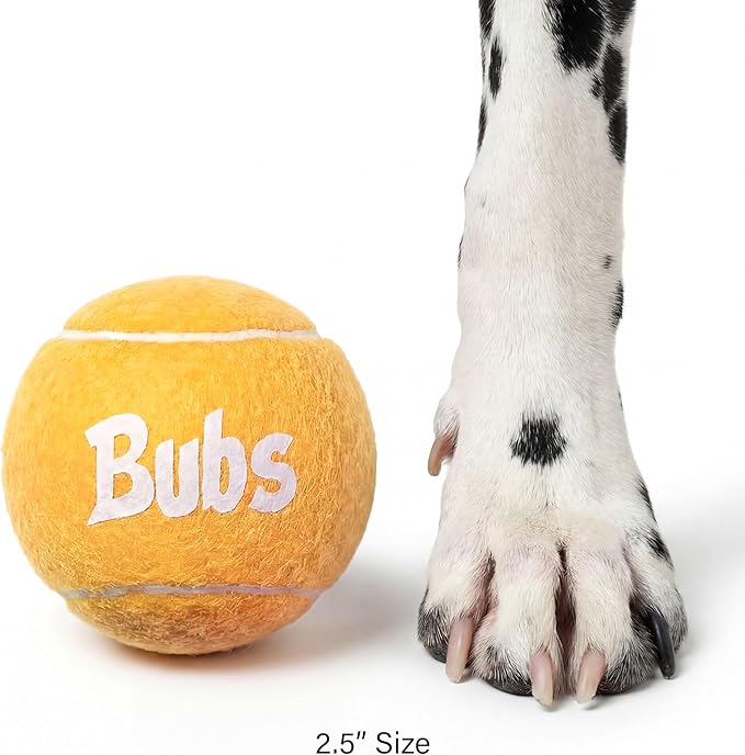 BubS Premium Durable Squeaker Balls for Dogs & Cats 3-Pack (2.5 inch) – Tennis Ball Style, Bouncy, Interactive, Safe & Long Lasting Fetch Pet Toys for Endless Fun (Large)