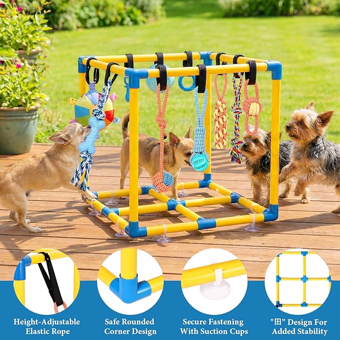 WLLEYAY Puppy Play Gym for Small Dogs with 10 Hanging Toys, Removable Indoor Jungle Gym, PVC Frame with Adjustable Bungee Straps, Interactive Dog Toys Tug Toys for Dogs Rope Toy to Keep Them Busy